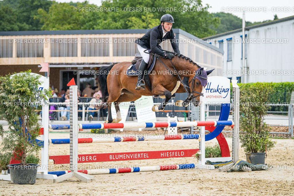 DSC00569 | Pferdegrafie