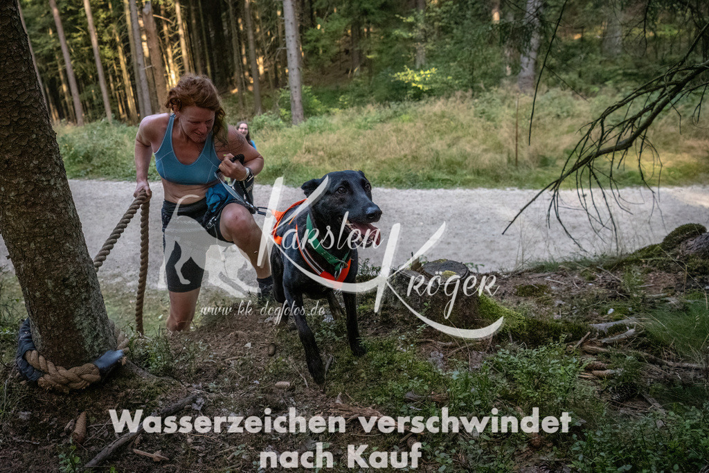0946_ZZ93160-DeNoiseAI-low-light | kk-dogfotos