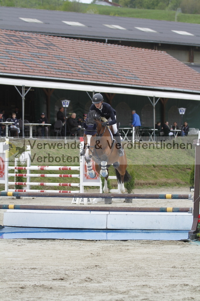 _MG_2733 | equestrian-live-com
