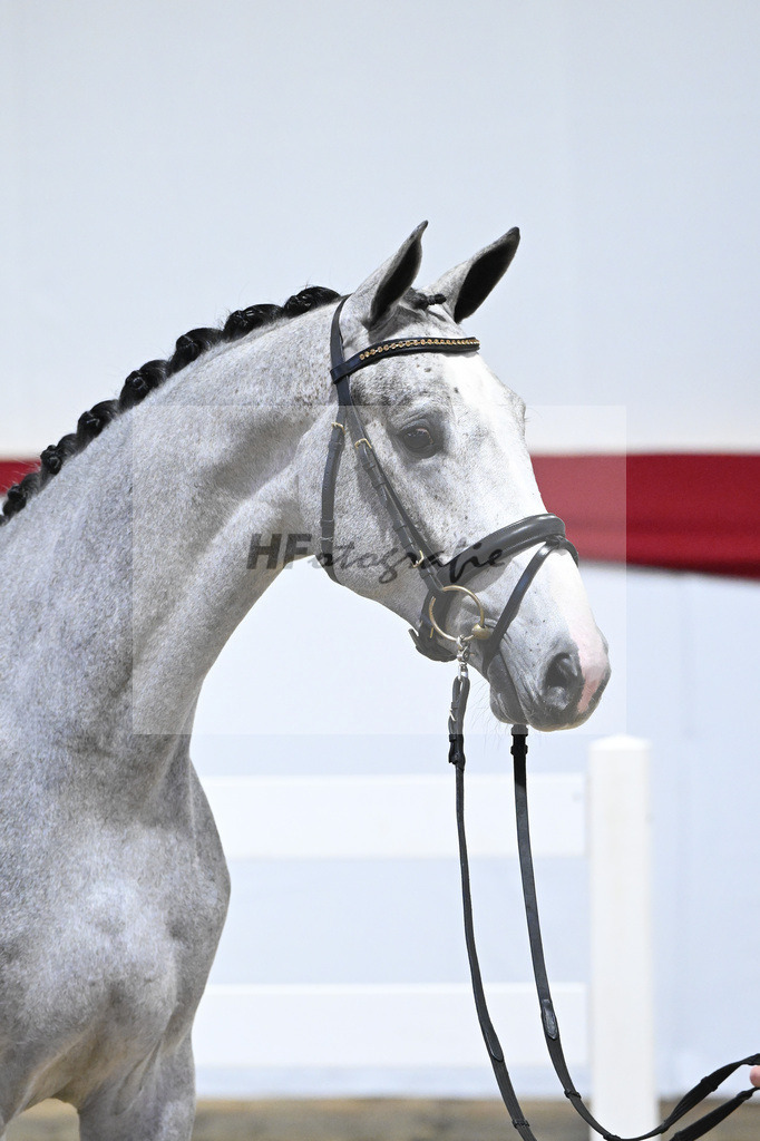 Kat-Nr. 46 v. Clarimo_Hahn u Schleicher_63221125 | hf-fotografie - Realisiert mit Pictrs.com