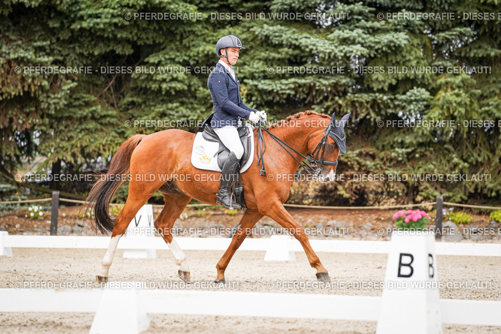 DSC07005 | Pferdegrafie