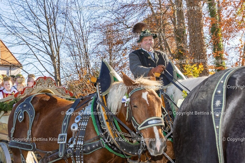 LBT25-1364 | foto-bettina-krinner - Realisiert mit Pictrs.com