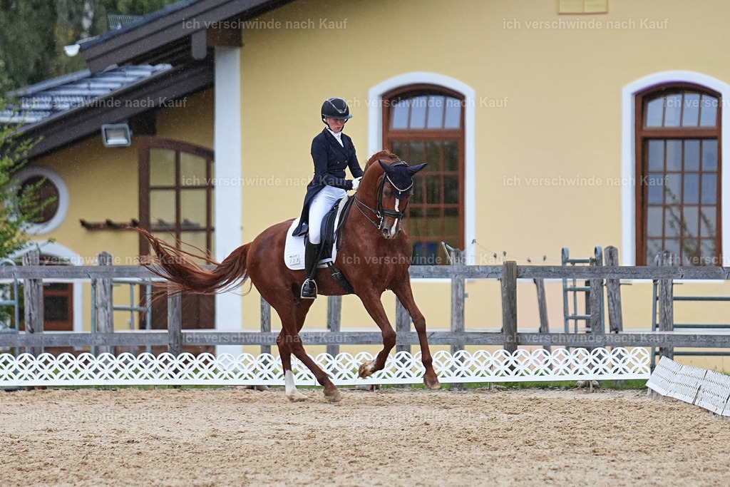 8_1-223-Klasse S_  -Marixx-4304 | working equitationturnier fotograf videograf stoibphotography marixx film working equitation deutschland reitsport turnierfotografie eventfotografie equestrian events