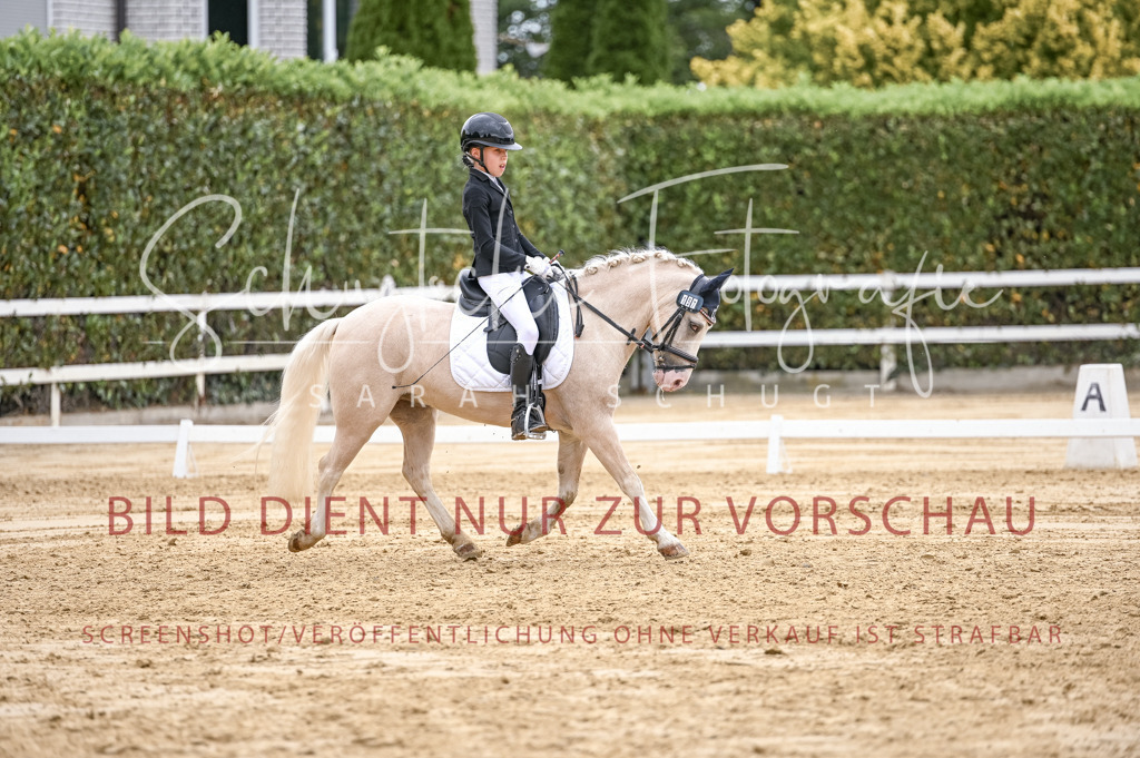 Schugtsche-Aluta25-42.EDressur -392 | Schugtsche Fotografie - Realisiert mit Pictrs.com