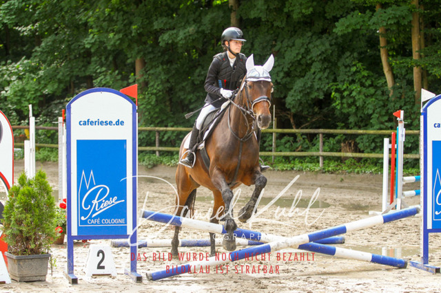 DKP44624 | Turniersportfotografie; Pferdefotografie; Dressurfotografie