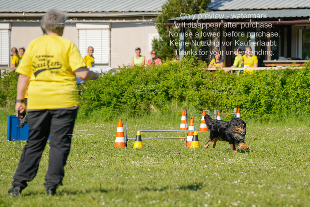 Sa_CSC-329 | stephaniefillaphotographie - Realisiert mit Pictrs.com