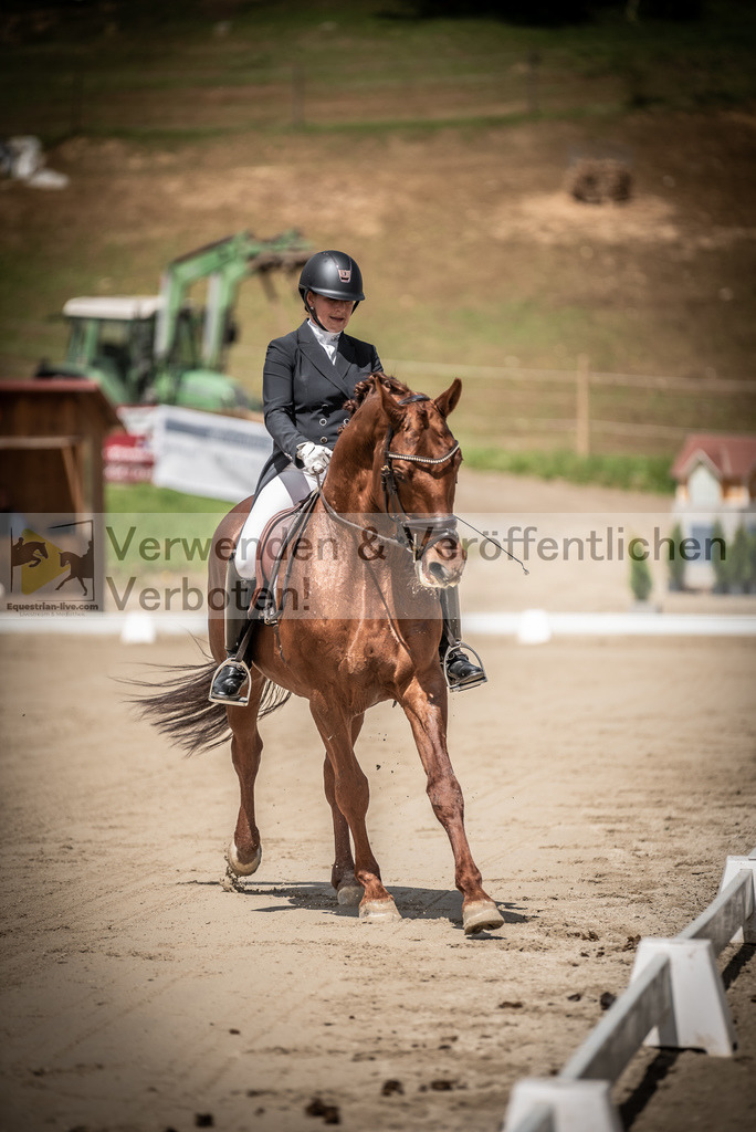 DSC_1552 | equestrian-live-com