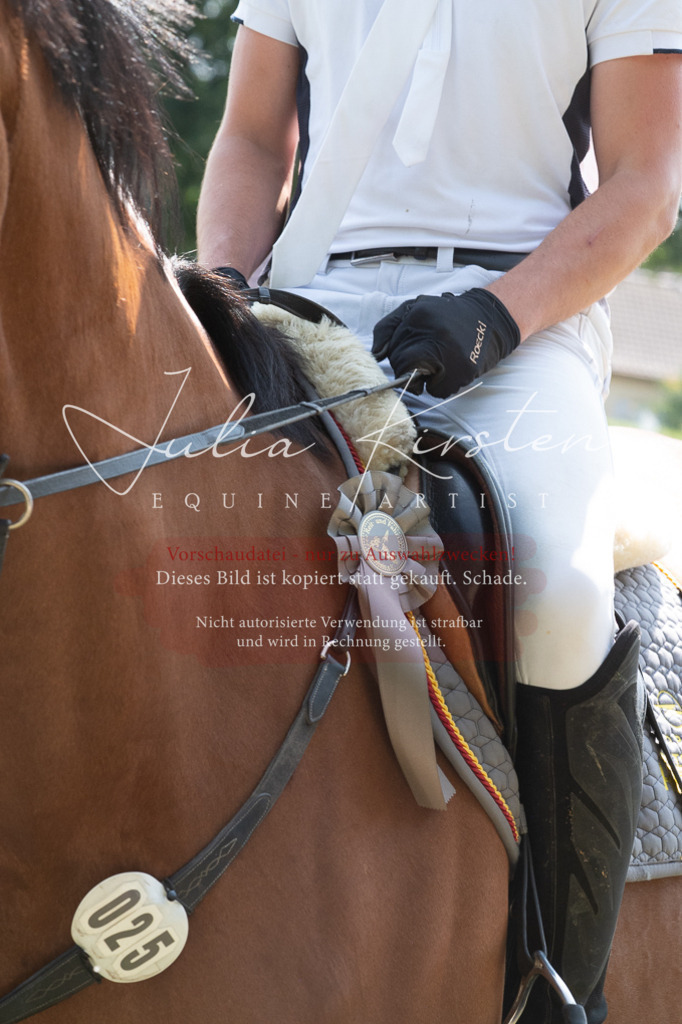 DSC_0725 | Pferde- und Turnierfotografie in Westsachsen. Pferdeportraits, Auftragszeichnungen und intuitive Kunst.