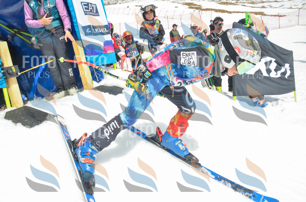 _ELE7219 | holidayphoto