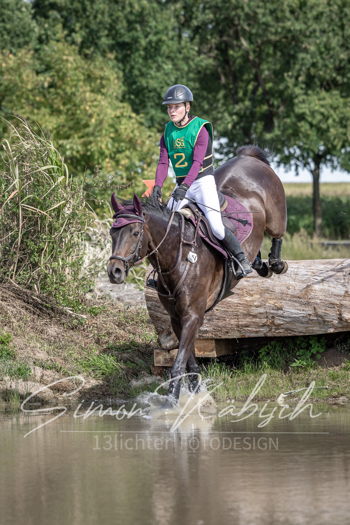 20250907-_3LI0718 | Tierfotografie Pferde, Hunde, Katzen, Haustiere.
Turnierfotografie Reitturniere, Reiten, Springreiten, Dressur in Hanau, dem Main-Kinzig-Kreis und dem Rhein-Main- Gebiet um Frankfurt