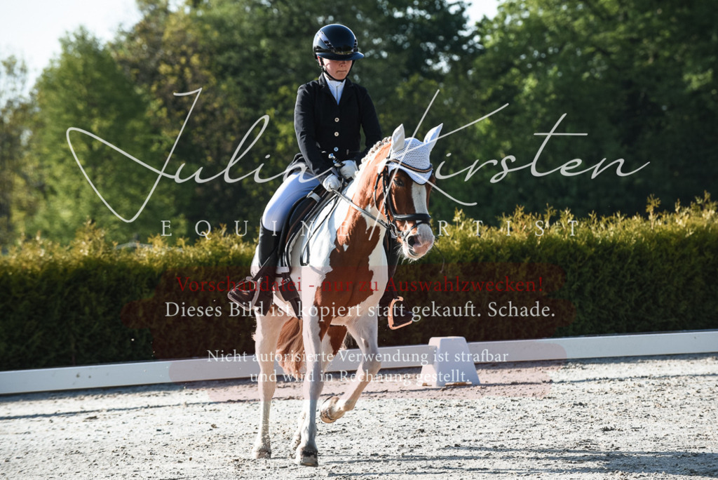 20230518_JK-Röhrsdorf-09-0298 | Pferde- und Turnierfotografie in Westsachsen. Pferdeportraits, Auftragszeichnungen und intuitive Kunst.