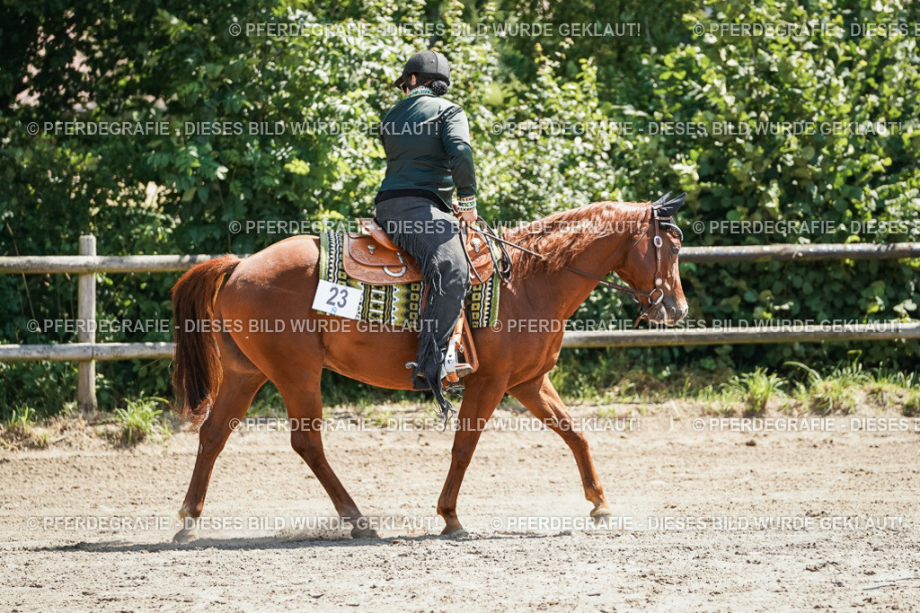 DSC06610 | Pferdegrafie