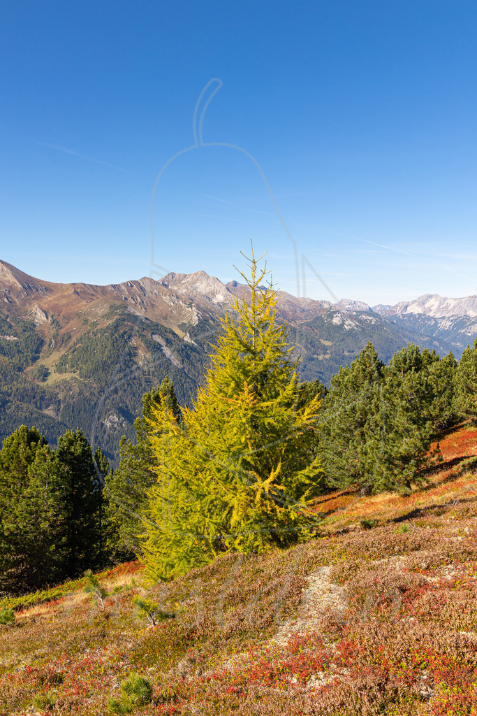 Herbst am Fanningberg | Ihre Fotografin im Lungau, ihre Fotografin im Mostviertel, Wandbilder Onlineshop, Imagefotos für Ihr Unternehmen,  - Realisiert mit Pictrs.com