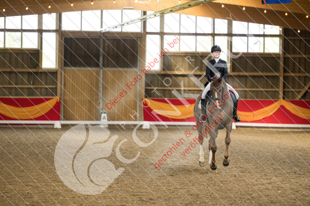 IMG_2176 | Hier findest Du viele Augenblicke aus den Bereichen der Turnier-, Sport- & Tierfotografie. Bilder mit deinem Liebling, Portrait-, Bewerbungs-, Businessbilder können ebenfalls schnell und einfach erstellt werden.