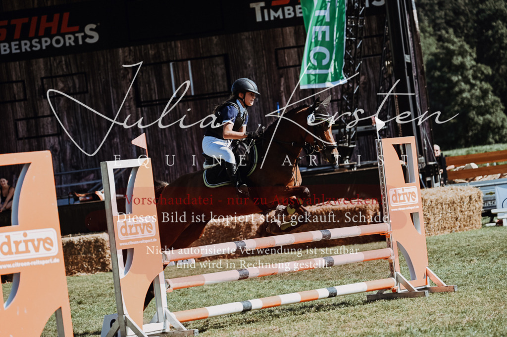 DSC_6744 | Pferde- und Turnierfotografie in Westsachsen. Pferdeportraits, Auftragszeichnungen und intuitive Kunst.