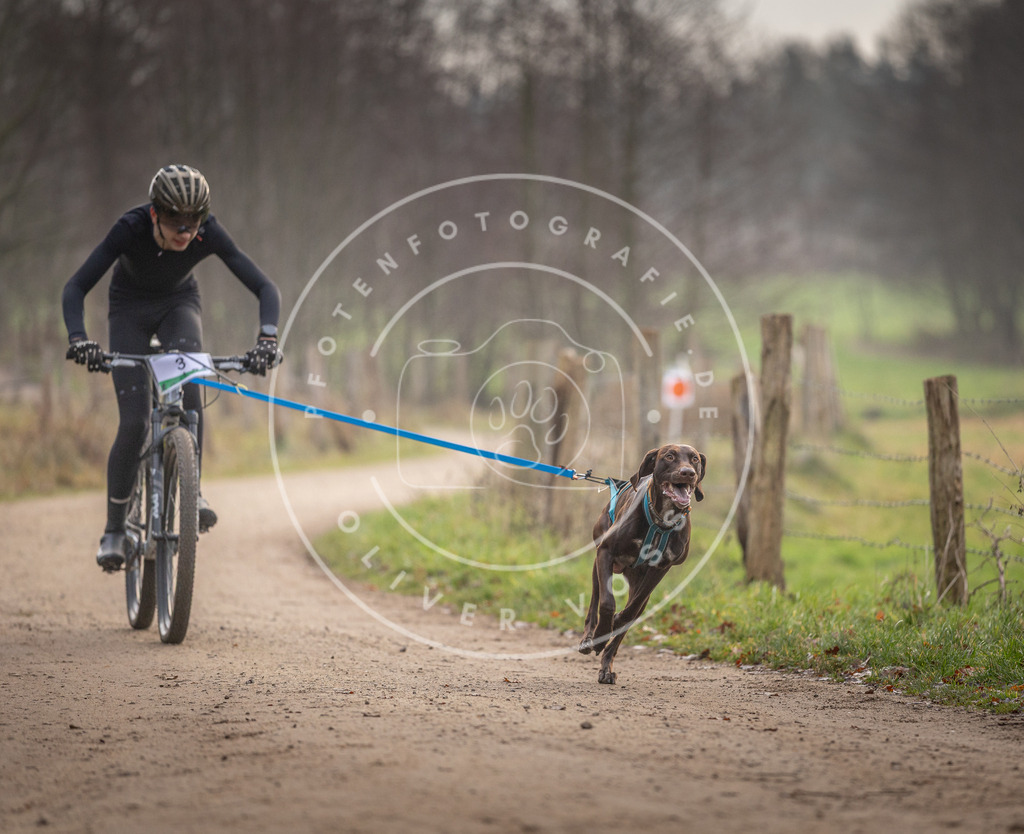 Pfotenfotografie_DV3A1550 | Hundefotografie, Tierfotograf, Pfotenfotografie, Fotoshooting Hund, Hunde Portrait, Hundesport, Hundeportraits, Heideshooting, Hunde, Sportfotograf, Hundefotograf, Turnierhundsport, THS,  - Realisiert mit Pictrs.com