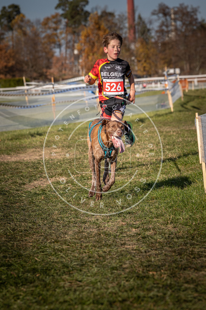CaniXpix_0L8A7281 | Hundefotografie, Tierfotograf, Pfotenfotografie, Fotoshooting Hund, Hunde Portrait, Hundesport, Hundeportraits, Heideshooting, Hunde, Sportfotograf, Hundefotograf, Turnierhundsport, THS,  - Realisiert mit Pictrs.com
