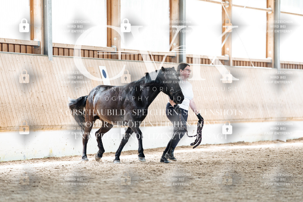 CK907490 | Turnierfotografie Pferdefotografie Trier Rheinland-Pfalz Pferdesport Reitsport Tierfotografie Sportfotografie Pferdevideo Pferdevideografie Equestrianvideography equestrianphotography  - Realisiert mit Pictrs.com