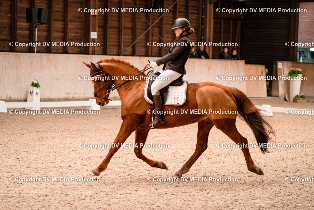 Dressur Tag 2-241 | dv-media-shop - Realisiert mit Pictrs.com