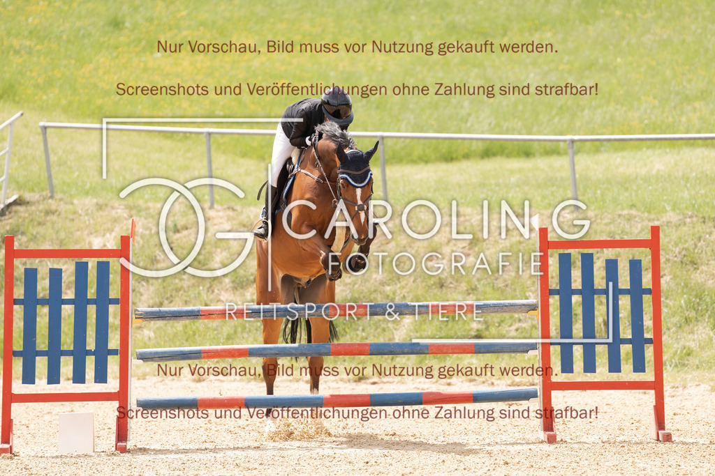 DSC06740 | Springturnier_Ehingen_Mai_2026, Mia_Kunze, Chaplis_4
