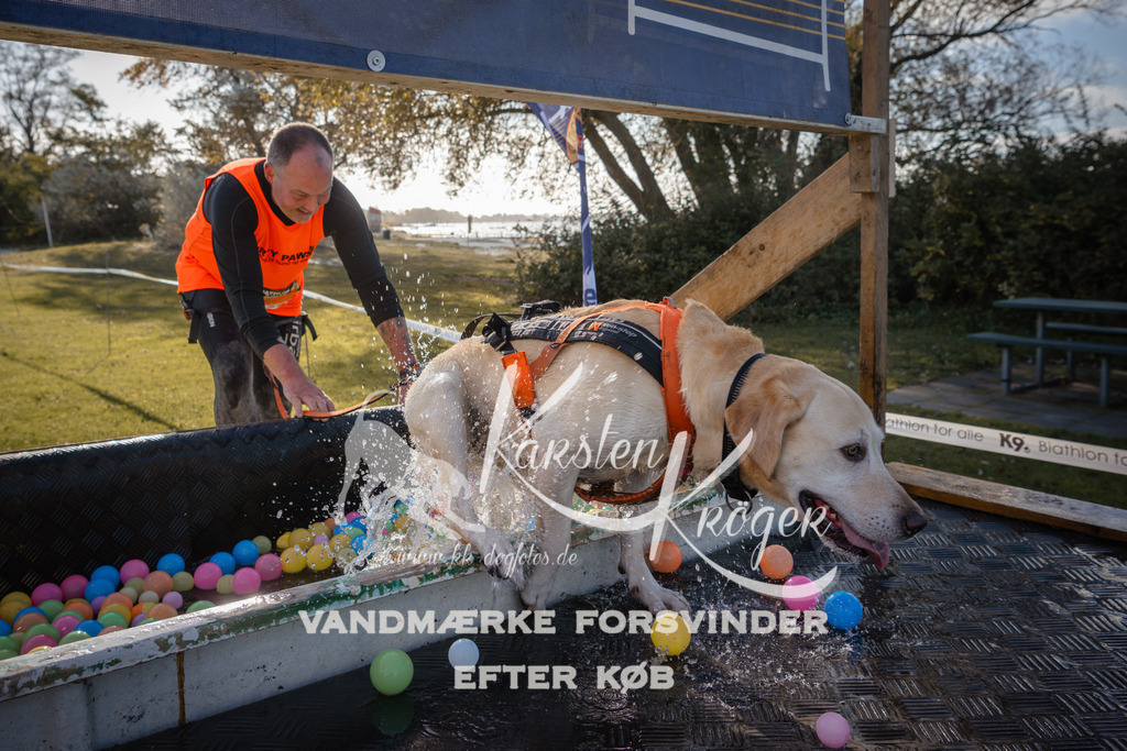 1057_ZZ91177 | kk-dogfotos