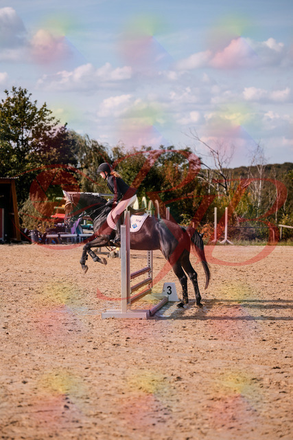 2026_10_03_Siefer-Hof_153532_Z81_47466823 | Professionelle Reitsport-, Turnier- und Eventfotografie von Robert Broda. Galerien mit ausgewählten und bearbeiteten Bildern direkt online ansehen und bestellen.