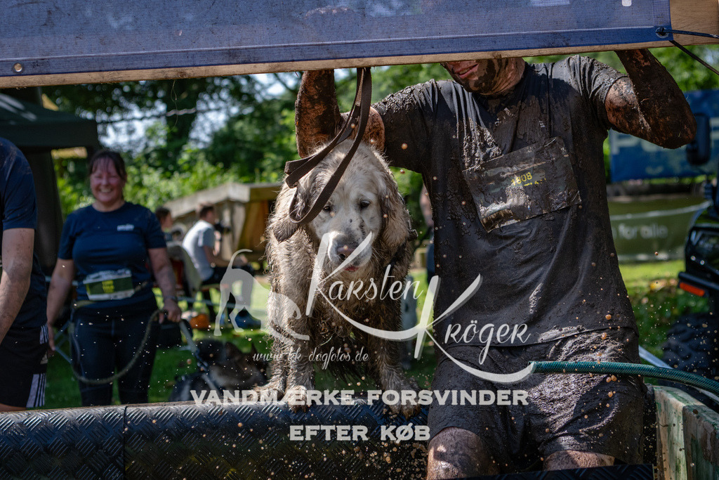 1251_ZZ90056 | kk-dogfotos