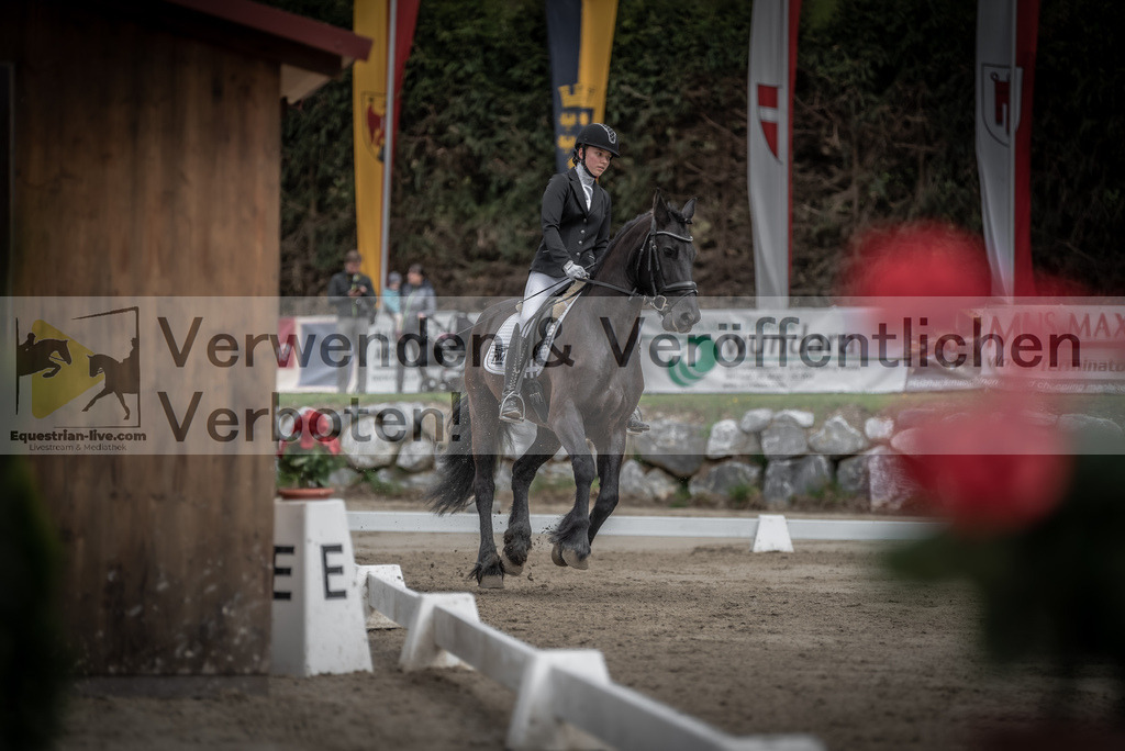 DSC_9219 | equestrian-live-com