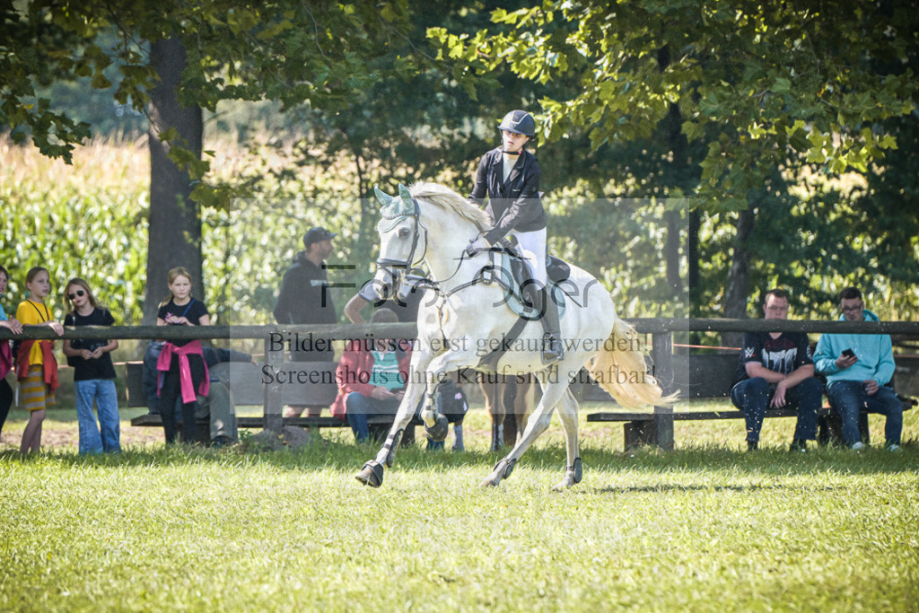 DOS_0715 | Entdecke hochwertige Reitturnierfotos von Foto Oger. Professionell, emotional und authentisch – jetzt Lieblingsmomente im Shop bestellen.Deutschlandweite Turnierfotografie. - Realisiert mit Pictrs.com