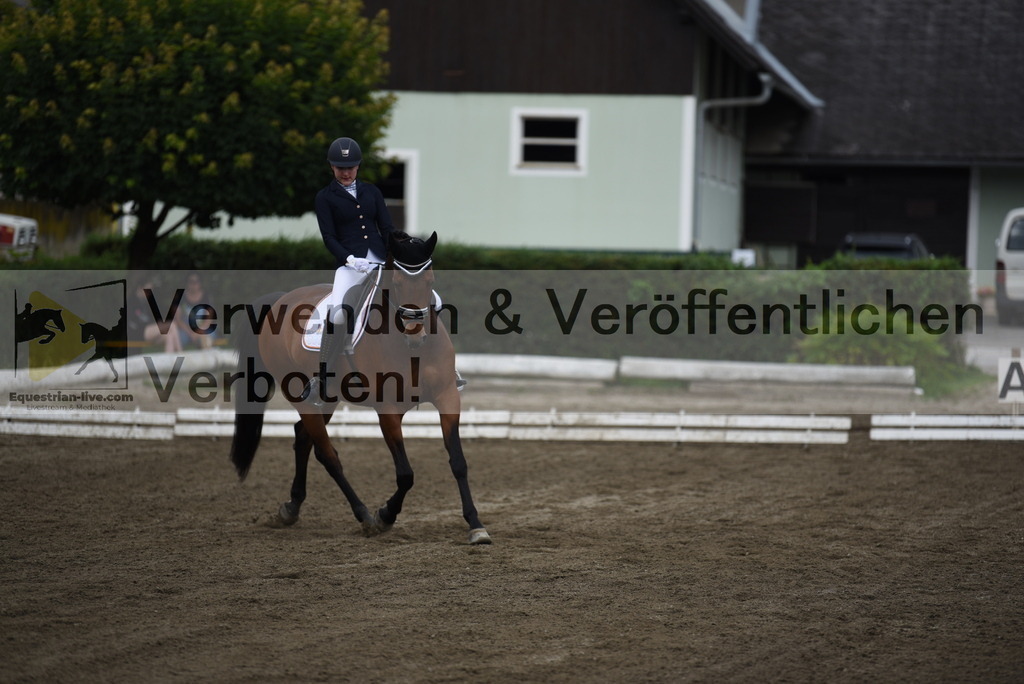 DSC_4186 | equestrian-live-com