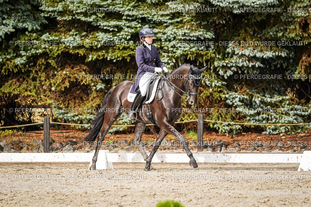 DSC09852 | Pferdegrafie