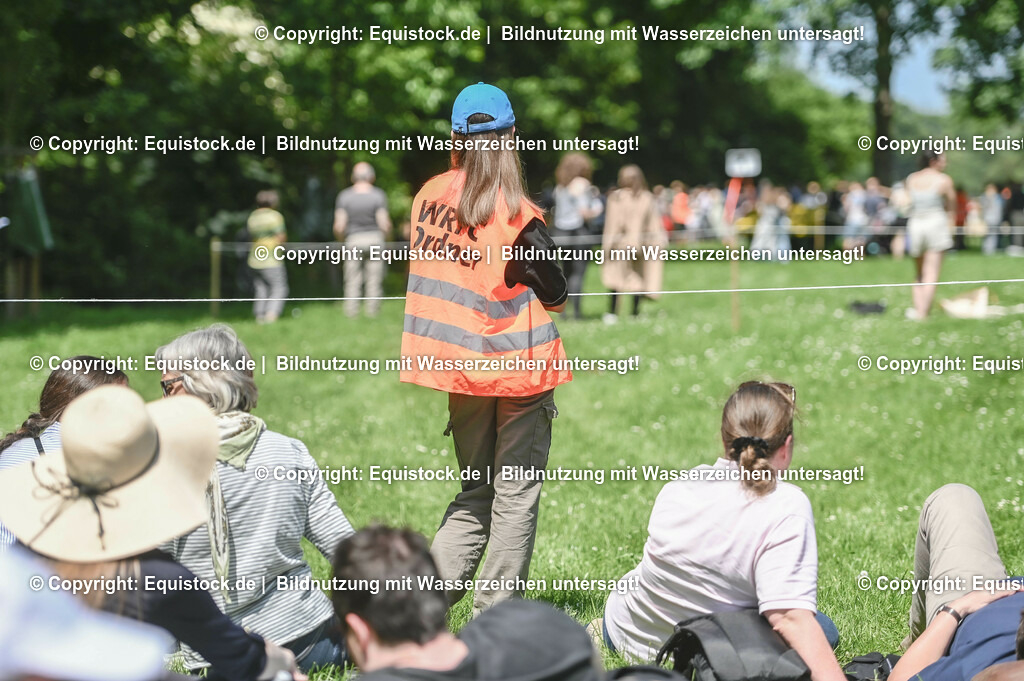 D78_2987 | equistock