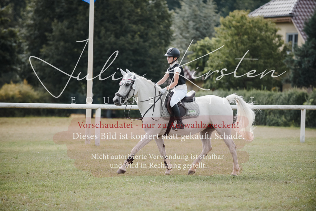 DSC_5530 | Pferde- und Turnierfotografie in Westsachsen. Pferdeportraits, Auftragszeichnungen und intuitive Kunst.