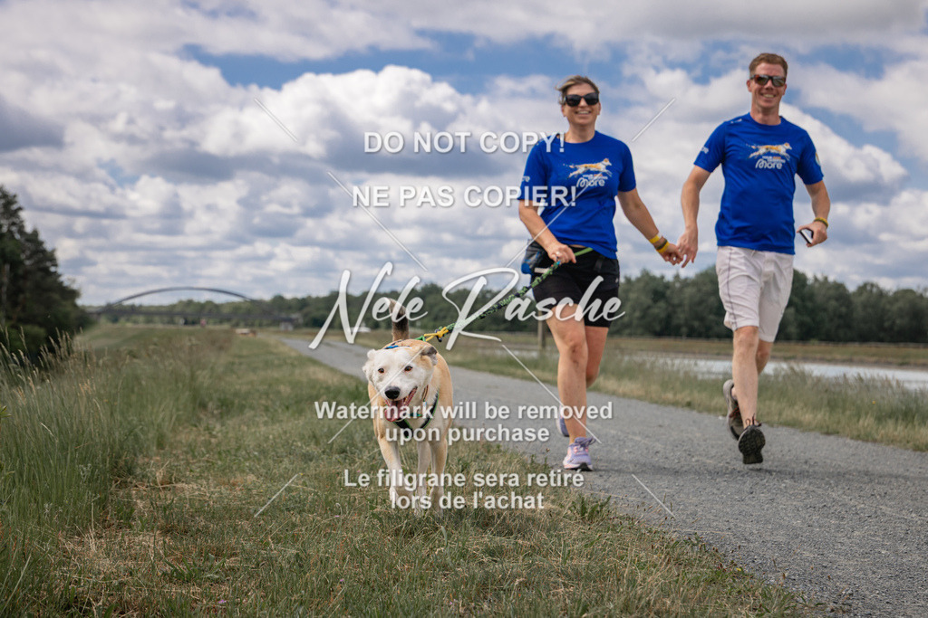 nelerasche_BuHu2026_SaCC1100-1200_106 | nelerasche