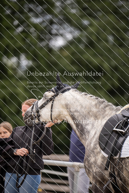 SD_OED_07873 | saradresslerfotografie - Realisiert mit Pictrs.com