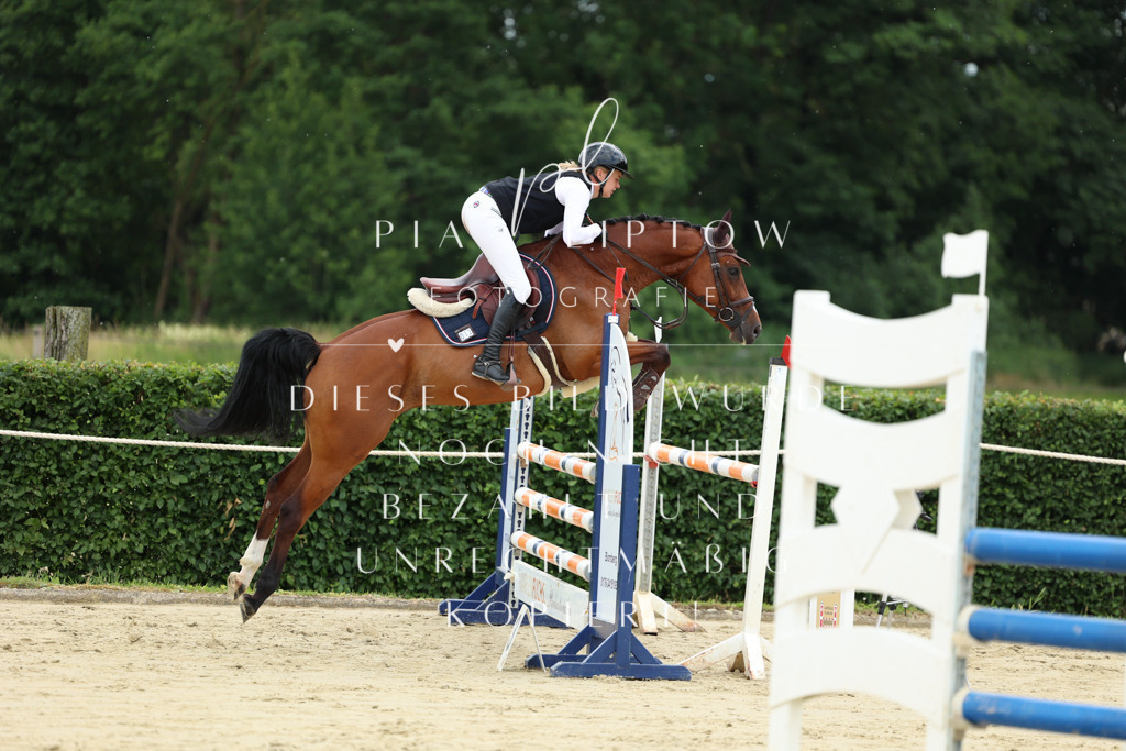 IMGM5650 | pl-fotografie