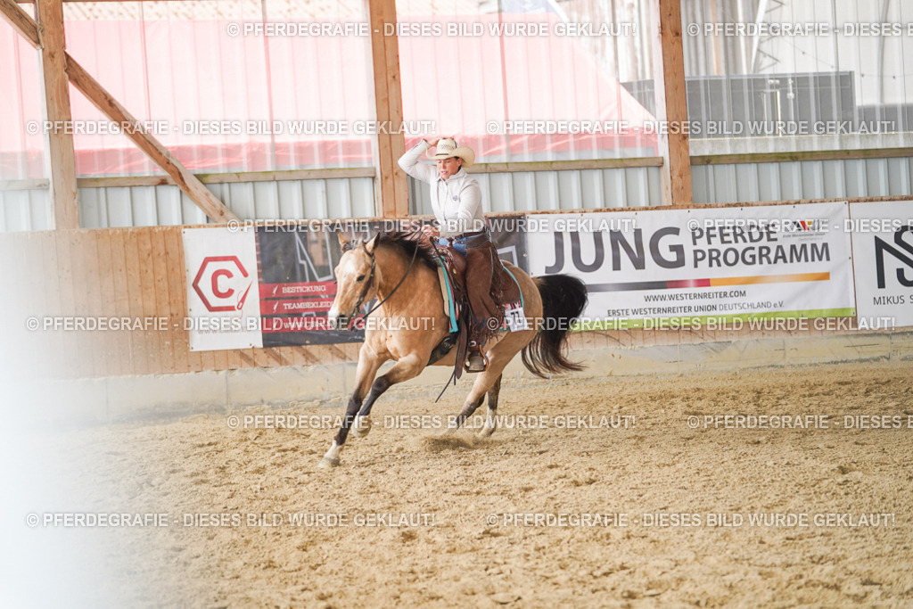 DSC01865 | Pferdegrafie