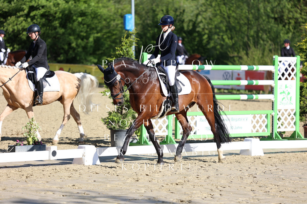 IMGT9576 | pl-fotografie