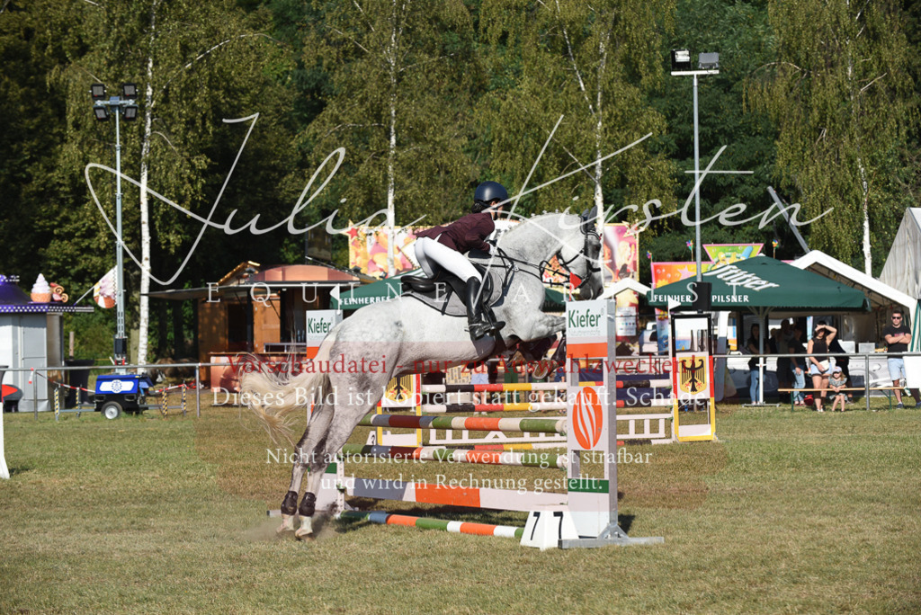 DSC_5253 | Pferde- und Turnierfotografie in Westsachsen. Pferdeportraits, Auftragszeichnungen und intuitive Kunst.