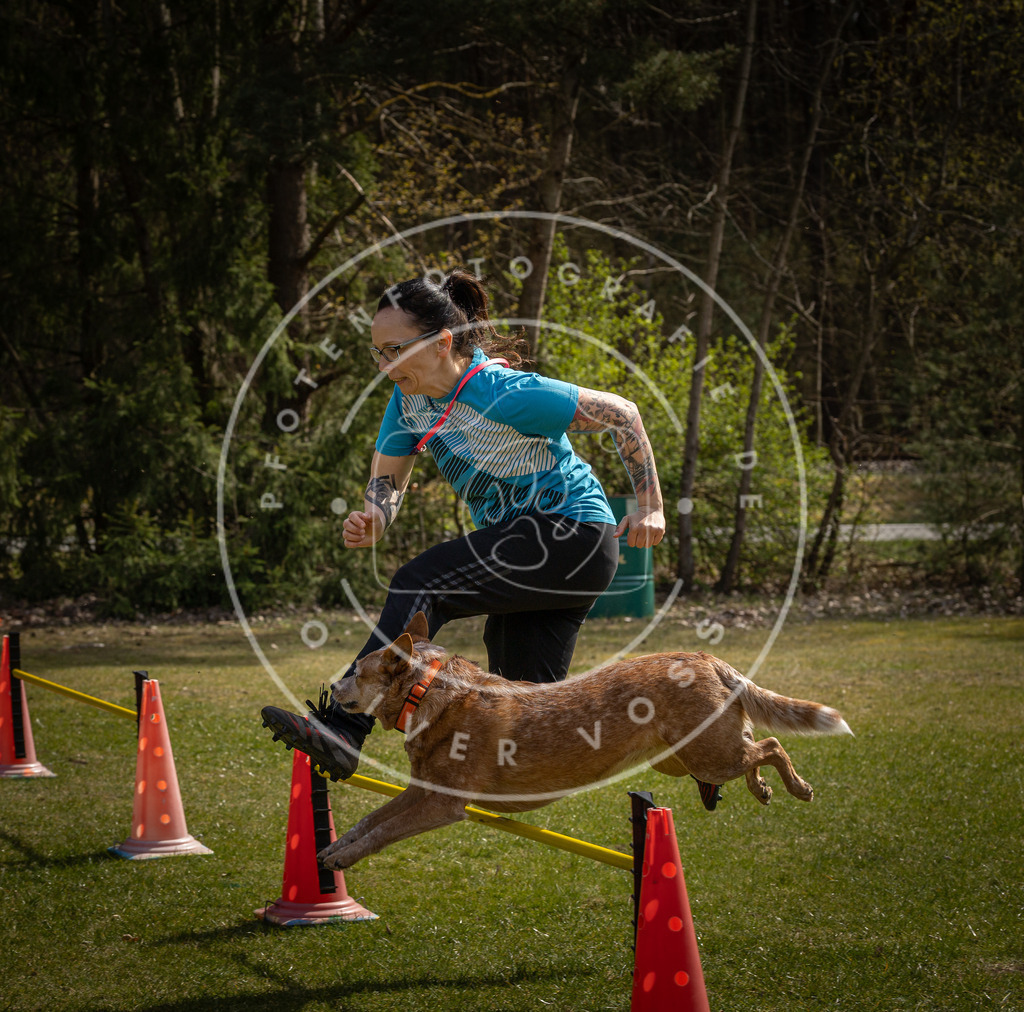 Pfotenfotografie_DV3A3946 | Hundefotografie, Tierfotograf, Pfotenfotografie, Fotoshooting Hund, Hunde Portrait, Hundesport, Hundeportraits, Heideshooting, Hunde, Sportfotograf, Hundefotograf, Turnierhundsport, THS,  - Realisiert mit Pictrs.com
