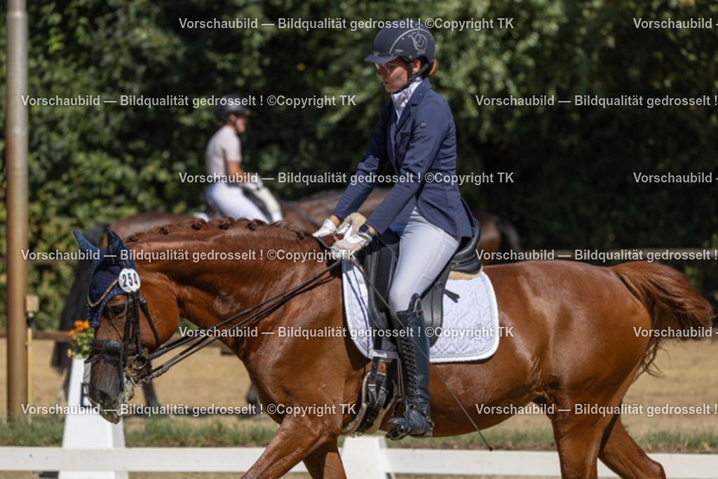 _D5A0033 | Emotionale Pferde- & People-Fotografie rund um Heidelberg, Leimen & Umgebung. Natürliche Fotos von Pferd, Mensch & Familie. Jetzt Termin sichern!