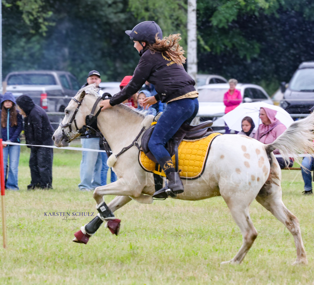 1B3A0450 | Reitsport Reiten