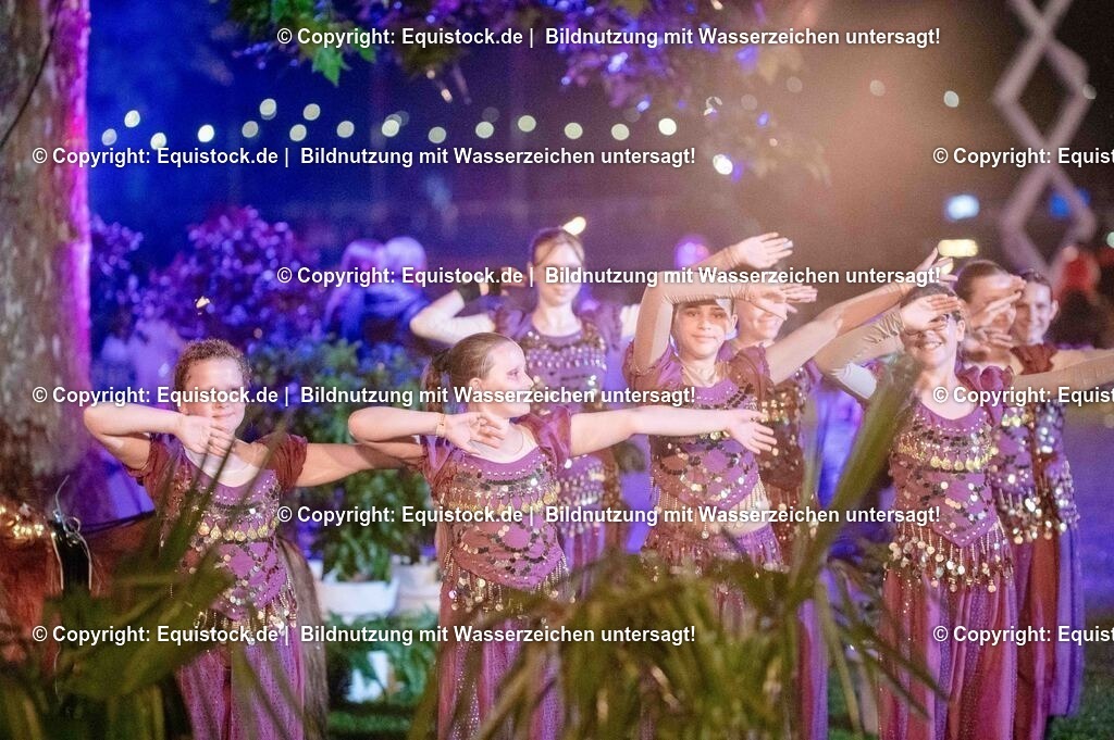 20250606_Lange-Pferdenacht_1444 | Foto: Thomas Hartig