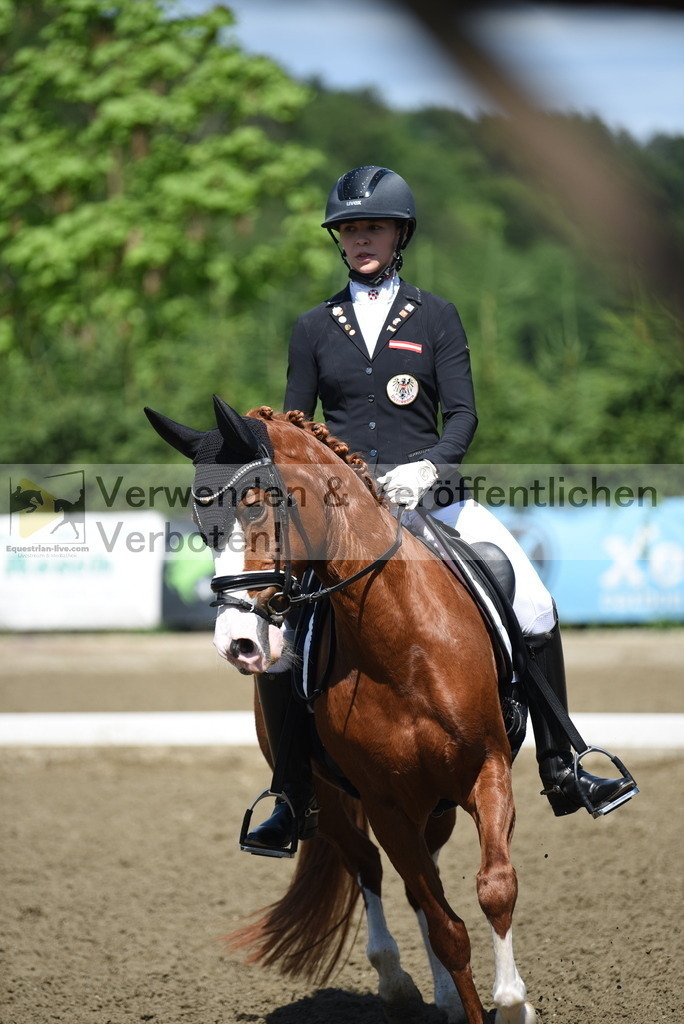 DSC_0182 | equestrian-live-com