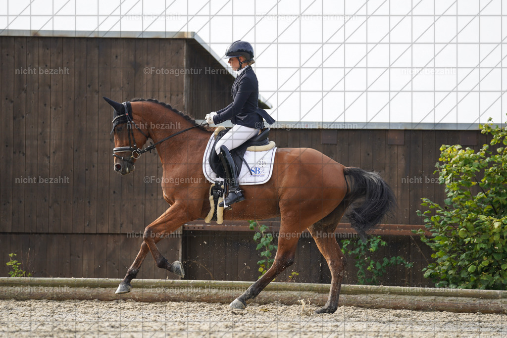 20230826-FAH04568 | Forstinning, 2023, Dressurturnier, Turniersportbilder, Turnierfotografen Bayern, Fotoagentur Herrmann, Reitsportfotografie, Turnierbilder