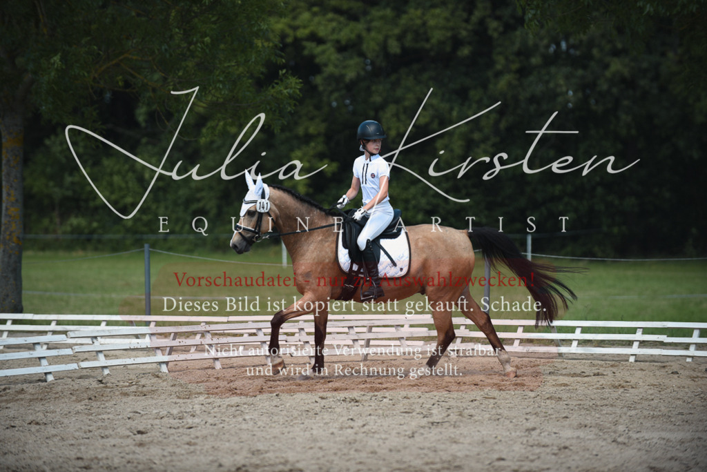 DSC_2510 | Pferde- und Turnierfotografie in Westsachsen. Pferdeportraits, Auftragszeichnungen und intuitive Kunst.
