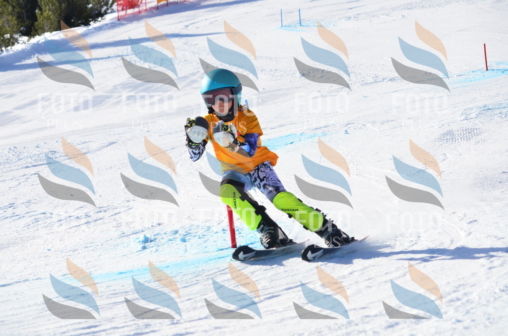 C6076 | holidayphoto