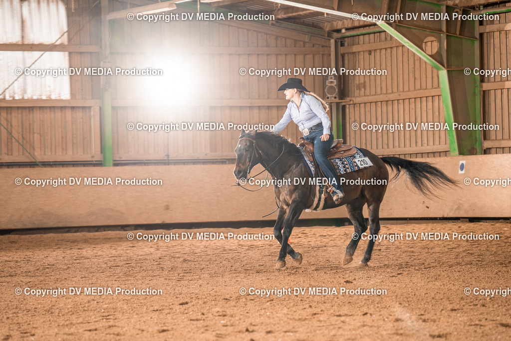 BAL00630 | dv-media-shop - Realisiert mit Pictrs.com