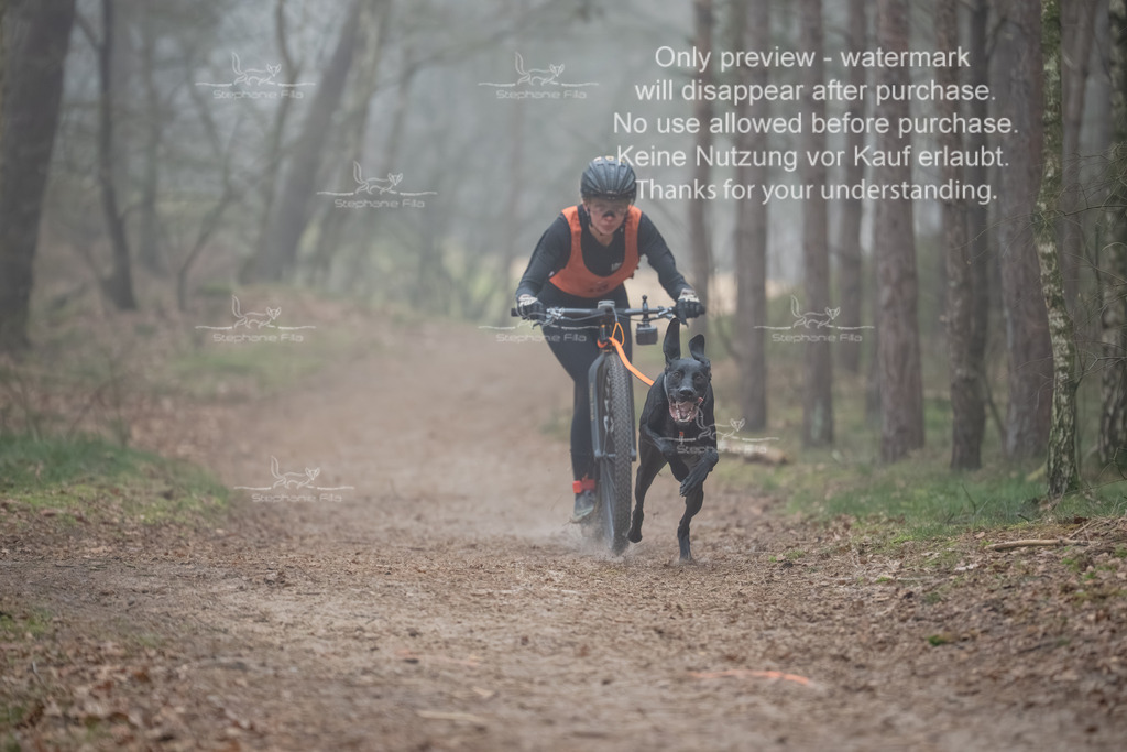 Scooter1-59 | stephaniefillaphotographie - Realisiert mit Pictrs.com