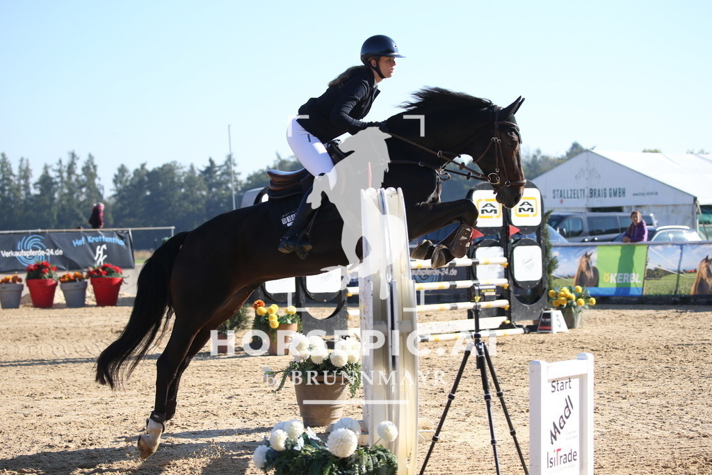 DL2Q1314 | Willkommen bei Brunnmayr - Design & Fotografie – Ihrem Spezialisten für Reitturniere und Pferdeveranstaltungen in Oberösterreich, Salzburg und Bayern! Seit über 17 Jahren sind wir leidenschaftlich dabei.